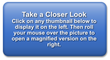 Take a Closer Look   Click on any thumbnail below to display it on the left. Then roll your mouse over the picture to open a magnified version on the right.